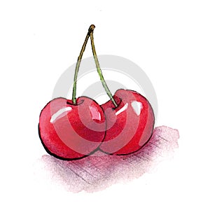 Cherry isolated on white background. Watercolor illustration of berries. Dessert sketch. Drawing for print on T-shirts. Red cherri